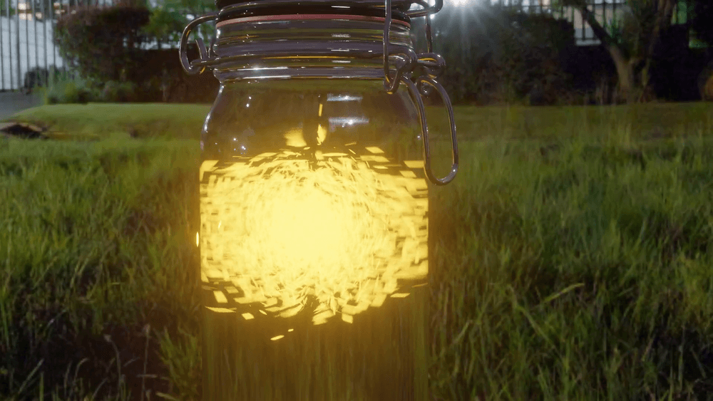Firefly
